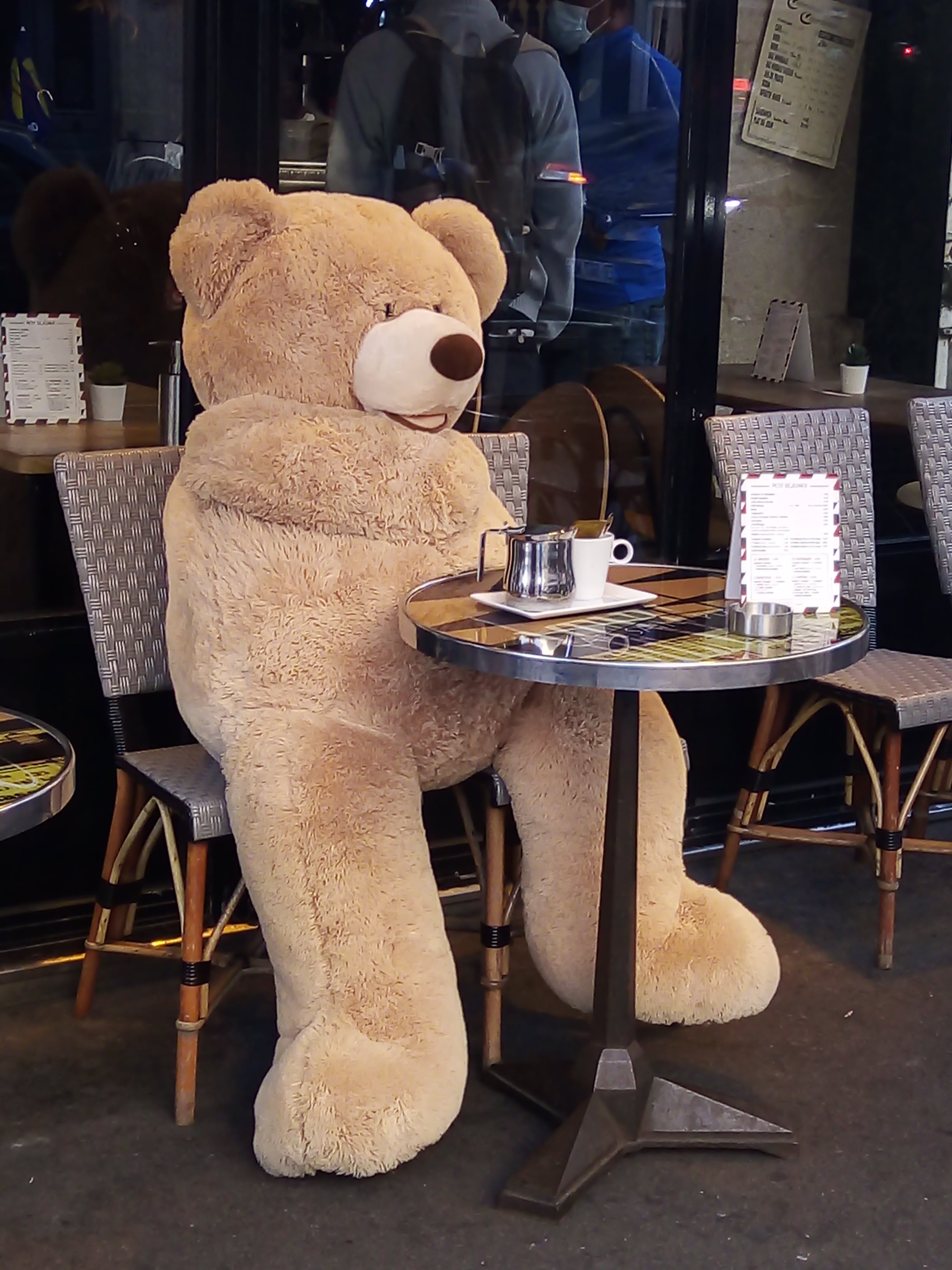 Bonjour Teddy Bear